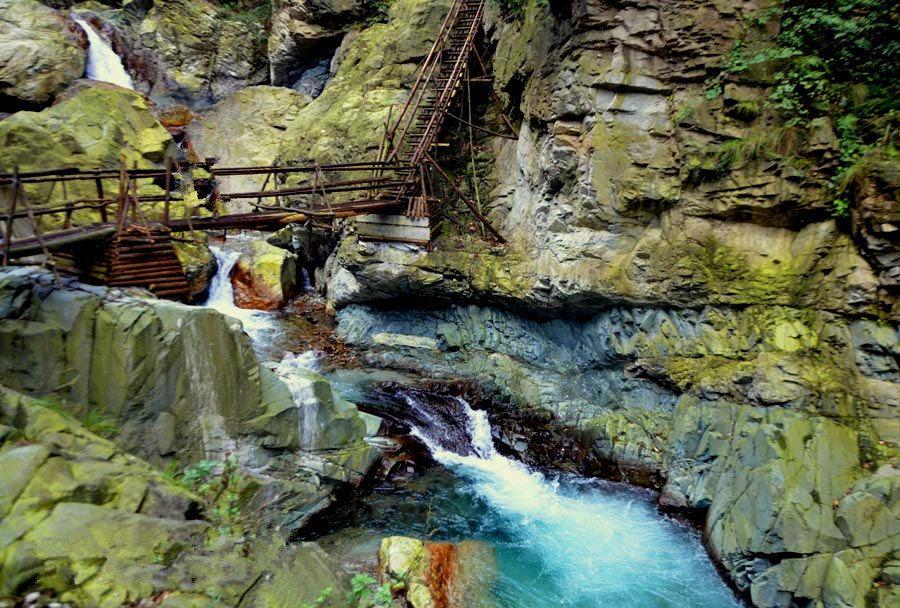合盛硅业上市前偷税遭罚未披露,再被举报伪造公文、欺诈发行